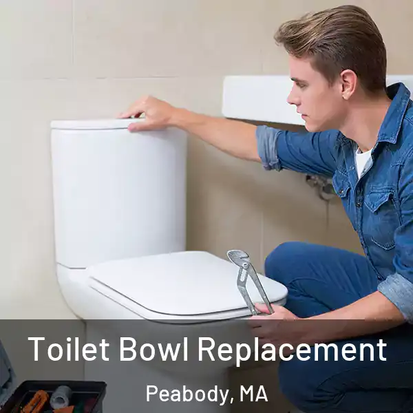  Toilet Bowl Replacement Peabody, MA